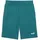 Puma Essentials Color No Logo-Shorts grün M