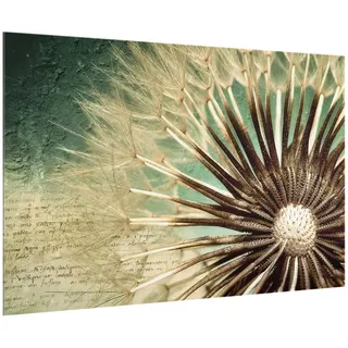 micasia Glas Spritzschutz magnetisch 4 mm starke Küchenrückwand Blumen Glasrückwand - Made in Germany - Modern Pusteblume Wandpaneel Küche Herd Magnetwand 2622-M (90x59cm)