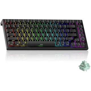 Akko TAC75 HE Tastatur 75% Hall Effekt Magnetschalter Rapid Trigger 8K | Wired US Layout,RT0,005 mm,einstellbarer Auslösung,PBT-Tastenkappen,ARGB für PC Gaming/Wettbewerb (Schwarz glänzend)