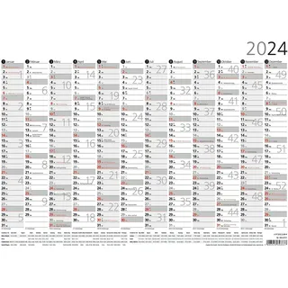 Plakatkalender 12 Monate 2024 - 29,7x21 cm - gerollt - mit Arbeitstage- und Wochenzählung - Posterkalender - Jahresplaner - 934-6111
