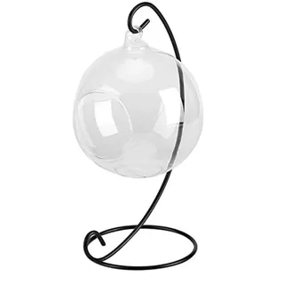 Famanu hängende Glasvase für Luft- und Sukkulenten – Elegantes Terrarium für Haus und Garten