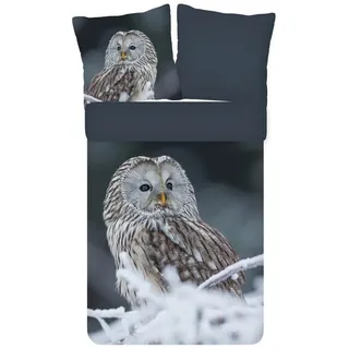 ESPiCO Kinderbettwäsche Bennie Eule Trendy Bedding, Renforcé, 2 teilig, Tiermotiv, Landschaft, Eis bunt|grau