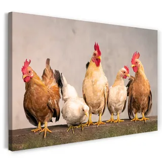Printistico Leinwandbild (120x80cm) Hühner auf dem Zaun, Bauernhof Hahn Natur, warme Farbe, Tier-Fotos, Natur-Fotografie, echter Holz-Keilrahmen inkl. Aufhänger, handgefertigt in Deutschland