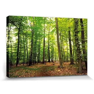 1art1 Wälder Poster Wald Der Stille Bilder Leinwand-Bild Auf Keilrahmen | XXL-Wandbild Poster Kunstdruck Als Leinwandbild 30x20 cm