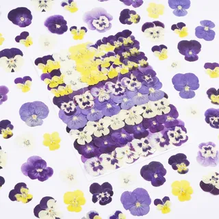 60 Stück Stiefmütterchen getrocknete gepresste Blumen zum Basteln, Xinxinran Trockenblumen-Set für Kuchendekoration, Harzformen, Lesezeichen, Schmuckformen, Kerzenherstellung, Seife, Rahmen (8 Farben)