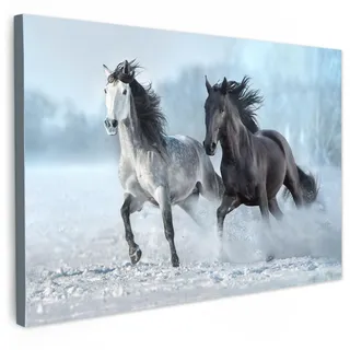 LEINWANDBILD Pferde - Winter - Tiere - Natur - Schnee Groß 140x90 cm