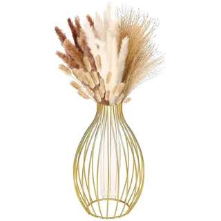 Reagenzglas Vase aus Glas, Blumenvase aus Glas, Pflanzen Glasvase, Geometrisch Metall Laternenform Hängende Hydrokultur Gold Vase mit Metallrahmen für Zuhause, Büro, Hochzeitsdekoration (Gold)