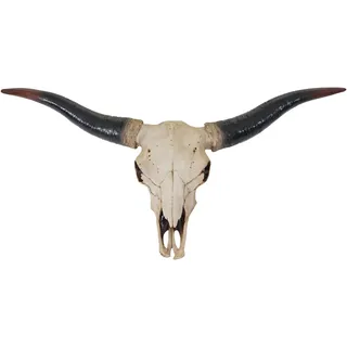 MCW Deko Schädel Longhorn 75 cm Beige