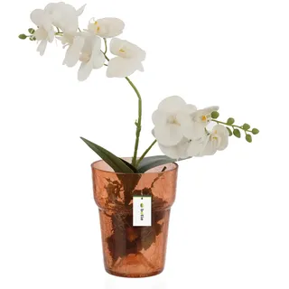 Botle Blumentopf, Blumenübertopf, Glas, für Orchideen, Orchideentopf D 15,5 cm H 18 cm Orange, Riss- und Spinnwebenstruktur, Groß, mit raumregulierendem Wassermanagement, Moderne Vase für Schnittblumen