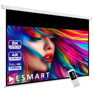 eSmart Professional MIMOTO Tageslicht-Motor Leinwand grau 304,8 cm 120 Zoll