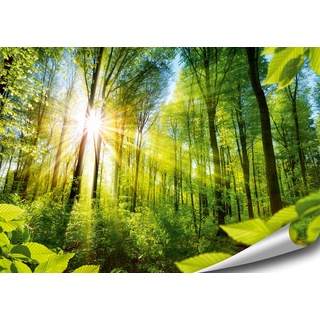 ARTBAY Wald Poster XXL - 118,8 x 84 cm | EIN von Sonne durchfluteter, Zauberhafter Wald | Natur Poster | Premium Qualität