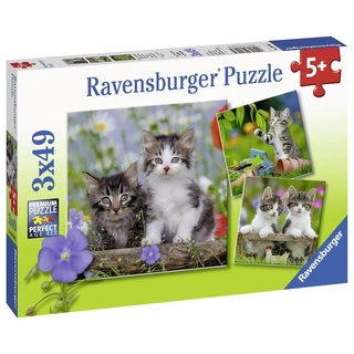 Ravensburger Puzzle 3 X 49 Teile Ravensburger Kinder Puzzle Süße Samtpfötchen 08046, 49 Puzzleteile