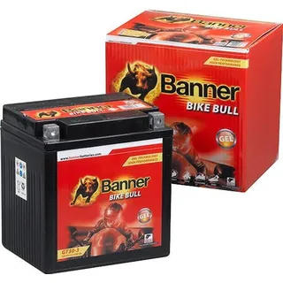 Banner GT30-3 30 Ah 385 A