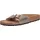 schmal graceful taupe 40