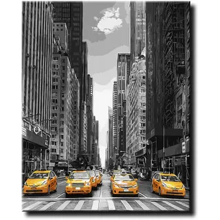 Shukqueen Malen nach Zahlen New York, DIY Ölgemälde für Erwachsene, Anfänger, Feiertagsgeschenke,16x20 Zoll (Ohne Rahmen)