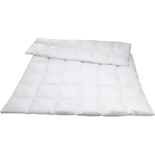 Traumina Silk de Luxe Daune Kassettendecke WK 4 (Größe: 240x220 cm*)