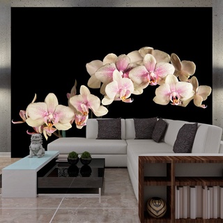 Fototapete - Blühende Orchideen auf dunklem Hintergrund