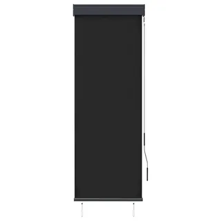 vidaXL Außenrollo 60 x 250 cm Anthrazit