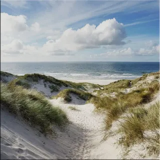 artissimo Glasbild 30x30 cm Strand und Meer Dünenlandschaft AG5501A – Bild aus Glas, maritimes Strandbild & Wandbild quadratisch