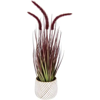 Flair Flower I.GE.A. Kunstpflanze Fuchsschwanzgras, im Topf, Höhe 53 cm