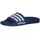 Team Royal Blue / Cloud White / Team Royal Blue 37