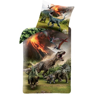 MTOnlinehandel Dino Jurassic Jungen-Bettwäsche · 1 x Kissenbezug 80x80 + 1 x Bettbezug 135x200 cm · Jurassic World Dinosaurier · 100% Baumwolle · Kinderbettwäsche