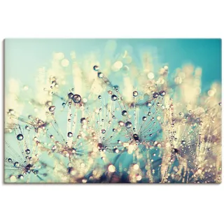 Leinwandbild ARTLAND "Pusteblume benetzt mit Tautropfen" Bilder Gr. B/H: 90 cm x 60 cm, Blumen, 1 St., blau Leinwandbilder