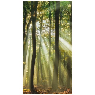 Duschrückwand - Sonnentag im Wald, Material:Hartfolie Smart Glanz 0.32 mm, Größe HxB:1-teilig 210x110 cm