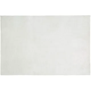 Eurofirany Dekorativer Teppich Fußmatte Teppichläufer Läufer Badeteppich Badvorleger Wohnzimmer Schlafzimmer Küche Rechteckig Fellimitat Weich, Silber, 66x90cm