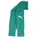 TeamGOAL Sleeve Sock Sport Green/Weiß 35-38