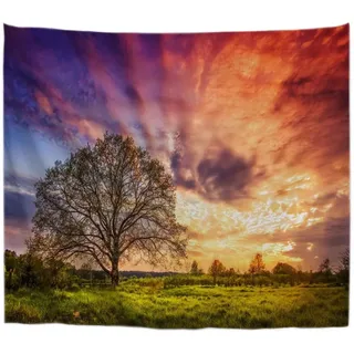A.Monamour Wanddekor Wandteppiche Bewölktem Himmel Frühling Sonnenaufgang Über Ländlichen Wiese Baum Natur Landschaft Fotografie Bild Stoff Wandbehang Tapisserie Wandbild Dekore 153x130cm