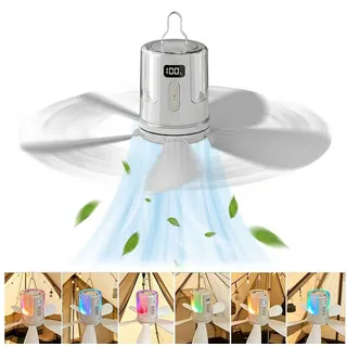 zuskyzu Deckenventilator 28 cm Silber