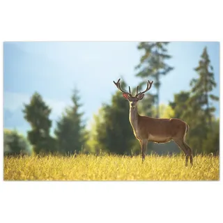 Wallario Teppich Junger Hirsch auf einer Wiese, rechteckig, rutschfest gelb 90 cm x 140 cm
