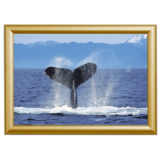 Showdown® Displays Klapprahmen Klapprahmen A4 gold 24,1 x 32,8 cm gold