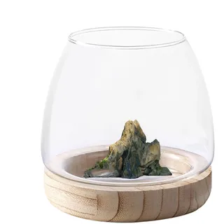 ETUCYNG Fischglas Vase Aquarium Hydroponische Vase Glas-Terrarium Kugel-Aquarium Mit Holzsockel Für Tischdekoration Zuhause Blumenarrangement