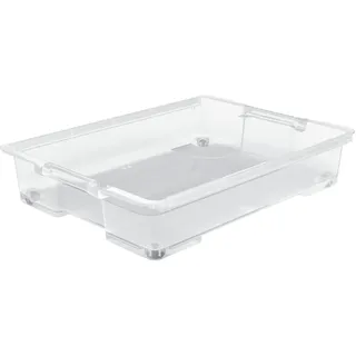 Rotho Aufbewahrungsbox Unterbettbox Evo Easy Kunststoff Transparent
