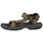 brown 40,5