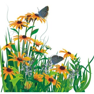 PEMA INDIGOS UG - Wandtattoo Wandsticker Wandaufkleber Aufkleber bunt ME075 schöne Wiese Blumen Schmetterlinge 20 x 20 cm