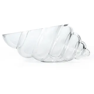 BIMUYI Dekorative Muschelvase, Glasschale, Muschelschale, Länge von 28 cm, transparenter Potpourri-Halter