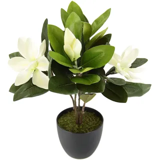 Flair Flower I.GE.A. Kunstpflanze Magnolie, im Topf Höhe 45 cm