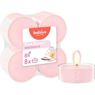 Bolsius True Scents Maxi Lights, Keramik, Magnolie, 8 Stunden, 8