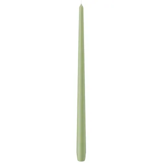 Wiedemann Kerzen Spitzkerzen durchgefärbt Pastell Grün Aloe Vera 400 x Ø 25 mm, 6 Stück