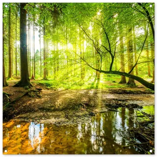 MuchoWow© Gartenposter Groß 100x100 cm XXL Outdoor Bilder Gartendeko für draußen Wetterfest Garten Deko Banner Draußen Gartendekoration Bild Wald - Landschaft - Wasser - Bäume - Sonne - Grün - Natur