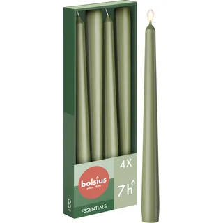 Bolsius Glatte Spitzkerzen - Grün - Set 4 Stück im Karton - Dekorative Haushaltkerzen - Brenndauer 7 Stunden - Unparfümierte - Natürliches Pflanzenwachts - Ohne Palmöl - 24,5 cm