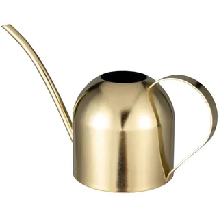 IMEEA 1L Edelstahl Gießkanne Zimmergiesskannen Moderner Blumengießkanne mit Langer Auslauf für Pflanzen Zimmerpflanze (Gold)