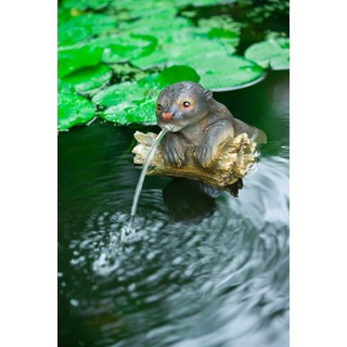 Ubbink Wasserspeier Otter, Schwimmt auf dem Wasser, BxLxH: 21x22x19 cm beige