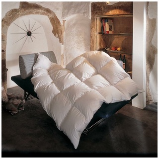 BettwarenShop Daunendecke Toronto extra warm, 10 cm Innensteg, Füllung: 90% Daunen 10% Federn 200x200 cm