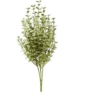 Eukalyptus-Busch 5 Zweige 35cm grün