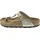 graceful taupe 39