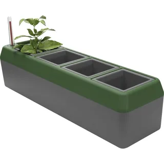 Bio Green Fensterbank-Kräuterbeet Provence 42 x 12 x 11 cm Grau/Grün